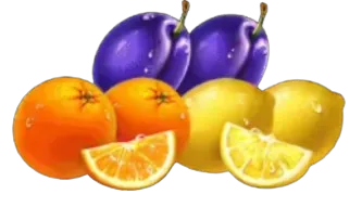 Cítricos